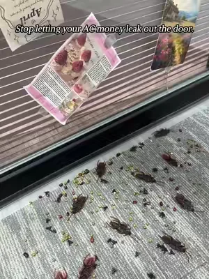 Stop cooling the neighborhood, bro! 🥵 
 Lock the AC in and keep bugs out with this weather stripping. 
 Dummy-proof 2-minute install. 
 Flash sale + FREE shipping right now! Grab yours below 👇🛒 
 #homehacks #weatherstripping #savingmoney #dadhacks #diyhome