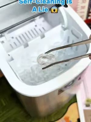 Those ice maker contaminants are absolutely repulsive.#icemaker #CleanTok #gross #ice #icemakercleaning 