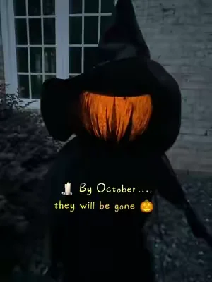👻 🧙 🎃 The most asked about #halloweendecor of 2025 
