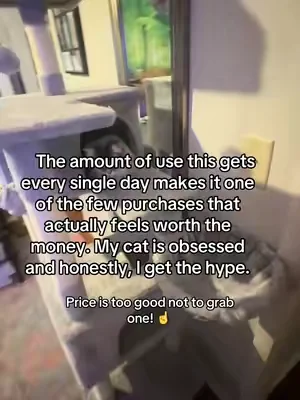 I thought I was buying a cat tree. Apparently I was purchasing a luxury high-rise apartment complete with a lookout tower, nap station, and scratching post.  #dealsforyoudays #cattree #cats #tiktokmademebuyit 