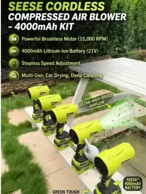The product is great! My profit isn’t?#tiktokshopdealsforyoudays #summerwins #blower #carwash #carowners 