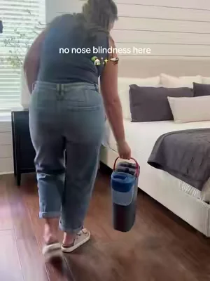 My house is clean and it smells good! Yes, please 🙌🏼 ##cleaningtiktok##cleaningmotivation##cleaningproducts