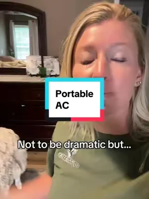 This saved me last night lol #portableac #portableairconditioner #tiktokshopcreatorpicks #summerwins #SummerVibes 