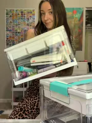 love these storage bins!! #storage #organization #dealsforyoudays #organizedhome #craftroom 