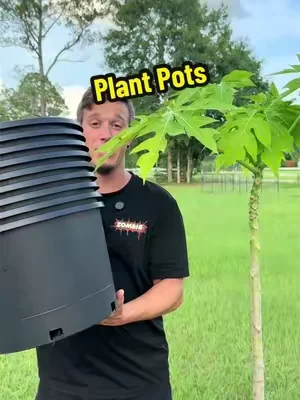 You can’t beat a good deal on plant pots! #SummerWins #DealsForYouDays #plantpots #growinginpots 