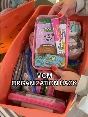 If you’re that mom who likes to stay organized, you will love these clear hard shell containers! #momhack #organizationhacks #stayorganized #whatsinmybag #momfinds 