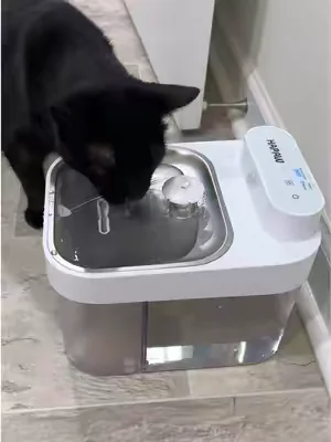 Most cat water fountains just reuse the same dirty water until you eventually replace it. This one gives your cat fresh water daily! My cats are drinking more water than before! #summeressentials #petwater #catwaterfountain #catcare #petgadgets 