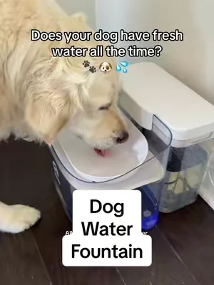 10/10 dog owners you will love this water fountain! No more filling fresh water multiple times a day 🐶 #dogs #dogbowls #dogsoftiktok #dogmom #dogessentials 