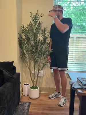 It’s time to spruce up the living room most likely #olivetree #treedecorating #homedecor 