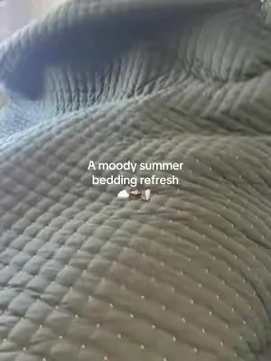 The coziest quilt bedding🤎☁️ this stiching is too cute!! #quiltset #bedding #beddingrefresh #summerbedding #summerwins 