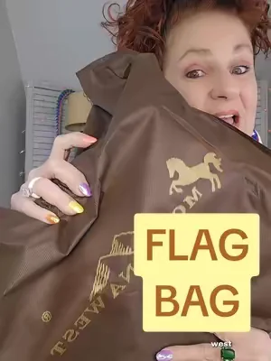 #purse #montanawest #flagbag #cutepurse #summerbag 