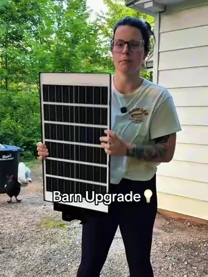 #outdoorlighting #solarlight #streetlight 