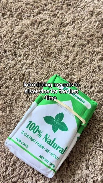 Safe to say they love it!! #silvervine #catnip #meowijuna #joint 