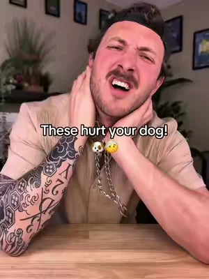 Stop the pull the right way! #tiktokshopcreatorpicks #dogs #dogsoftiktok #dealsforyoudays #puppy 