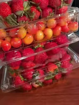 How to make fruit last longer #kitchen #KitchenHacks #kitchengadgets 