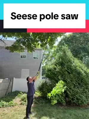 So much better #tiktokshop #polesaw #chainsaw 