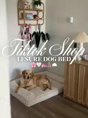 Lesure dog bed 🌸🤍💒🧘🏼‍♀️☁️#fyp #dogbed #lesurepet #dogbeds #petbed 