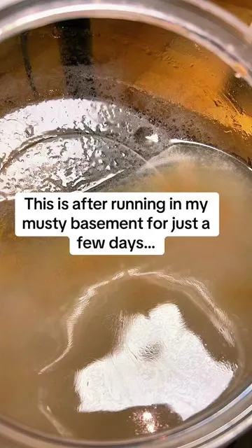 I loved my first one so much that I bought a second! One stays in my unfinished basement where things can get a little musty, and this one has earned a permanent spot beside my bed. I love adding fresh water and a splash of my favorite scent, then turning on the soft glow at night. It’s become one of my favorite cozy home additions and part of my nightly routine. If you love making your home feel fresh and inviting, this is definitely worth checking out! #AirPurifier #HomeHack #BedroomRefresh #CozyHome #HomeEssentials               