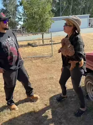 Siempre se ocupa una de estas 
