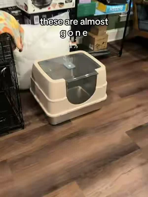 #cats #catsoftiktok #stainlesssteellitterbox 