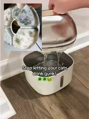 Easiest upgrade for my cats! No filter, just clean fresh water daily!  #summeressentials #catcare #catwaterfountain #petgadgets #catsoftiktok 