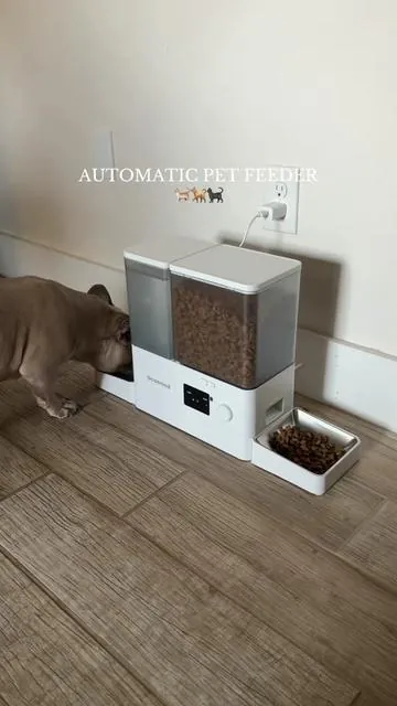 No more rushing home to feed my pets 🙌🏻🤎 #dogmom #cats #frenchie #dogfood #dealsforyoudays 