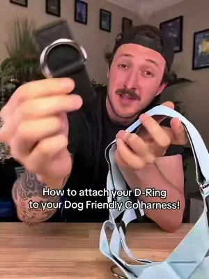 Here’s how to attach your d-ring! #tiktokshopcreatorpicks #dogs #dogsoftiktok #dealsforyoudays #dogfriendlyco 