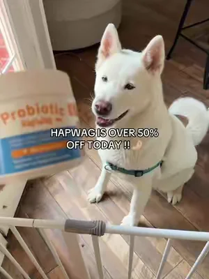 my doggies love these ! #probiotics #hapwag #dogs 