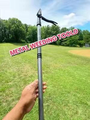 no easier or faster way to weed than with this thing. It’s grampas metal weeder , made of steel and rips out weeds by the root system #weeder #gardeningtips #lawntiktok #dealsforyoudays #summerwins 