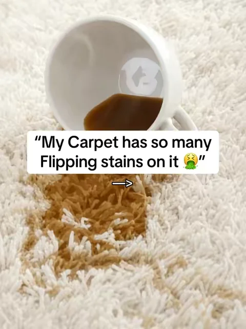 #upholstery #upholsterycleaning #Carpetcleaner #bisselllittlegreen #dirtycarpet 