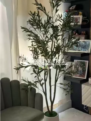 no thoughts just olive trees 🥹🍃 #olivetree #olivetreedecor #dealsforyoudays #fauxolivetree #homedecorideas 