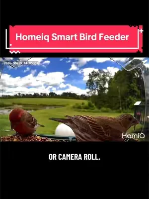 I never realized how many beautiful birds visited my yard until I added this to my window! 🐦✨ The HomiQ Window Bird Feeder gives you a front-row seat to nature with crystal-clear views and a built-in camera that helps you spot and identify your feathered visitors. It’s peaceful, entertaining, and perfect for bird lovers of all ages. ❤️ #HomiQ #WindowBirdFeeder #BirdWatching #BirdLovers #summeressentials 