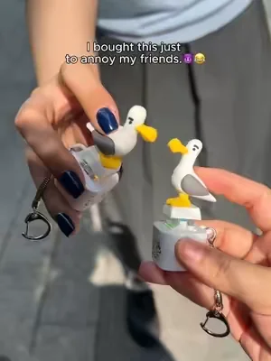 I got this as a joke... now I'm obsessed.Mine!🤣#seagull #button #keychain #seagullkeychain #Fidgettoys 