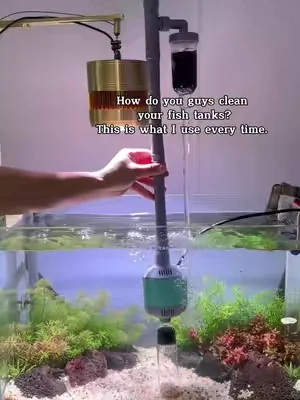 How do you guys clean your fish tank?#aquarium #fishtank #cleaner #dealsforyouday #waterchange 