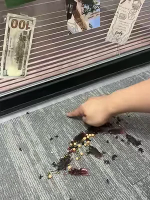 Stop cooling the neighborhood, bro! 🥵 
 Lock the AC in and keep bugs out with this weather stripping. 
 Dummy-proof 2-minute install. 
 Flash sale + FREE shipping right now! Grab yours below 👇🛒 
 #homehacks #weatherstripping #savingmoney #dadhacks #diyhome