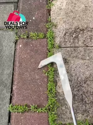 Do you still use butter knife and screwdriver for this type grass in crevice? #magictools#concretecrevicetool#drivewaycracksgrass#DealsforYouDays #summerwins