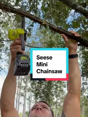 I actually have fun doing yard work with this. #chainsaw #seese 