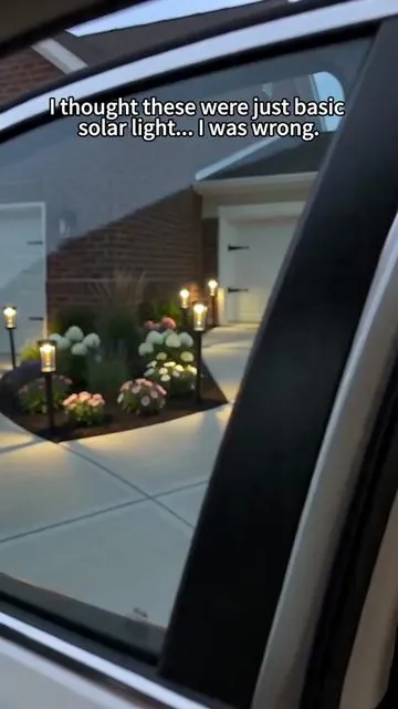 My front yard walkway looks straight out of Pinterest now#backyardyibes #fyp#solaroutdoorlights #garden#SummerVibes#TikTokShopDealsforYouDays #DealsForYouDays#DealsForYouDay