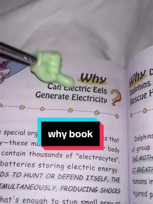 #tiktokshopcreatorpicks #dealsforyoudays #summerwins #summeressentials 
