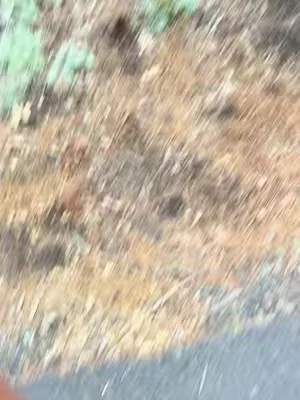 7654584806612765983