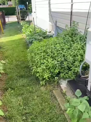 Bonita bomba electrónica recargable de mochila para fumigar las hortalizas #paratiiiiiiiiiiiiiiiiiiiiiiiiiiiiiii #fumigar #las #hortalizas #agricultura 