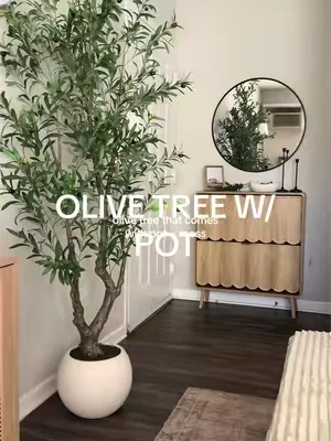 the most realistic faux olive tree I’ve ever seen! And it comes WITH the pot and moss🤩 #fauxolivetree #livingroominspo #bedroomdecor #olivetree #cozyhome