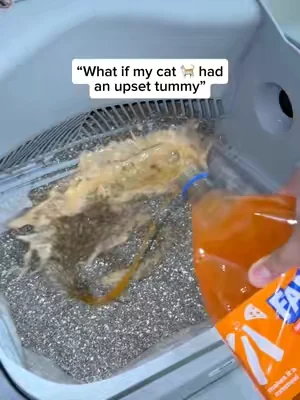 Never scooping cat crap again #cats #catlitter #litterbox #automaticlitterbox #selfcleaninglitterbox #petpivot