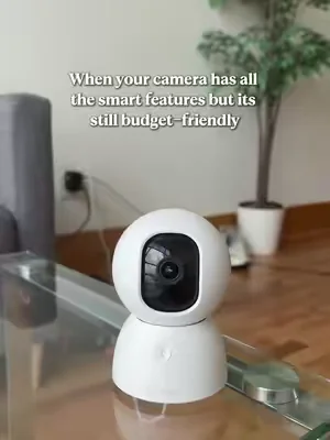 Perfection in a home camera 