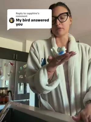 Replying to @sapphire #birdwhisperer #birdwhistles #communicatewithcat  