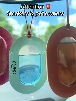 #pets #smoker #car ##SummerWins##DealsForYouDays