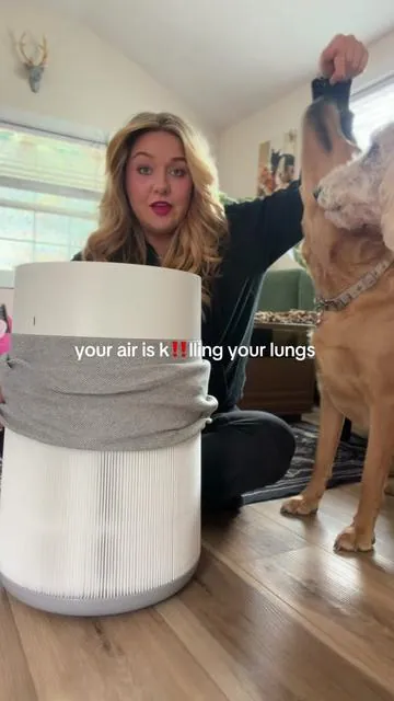 The mac daddy of air purifiers. #airpurifier #cleanair #blueair #dealsforyoudays 