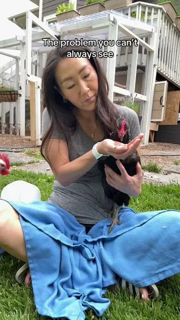 Simple and safe way to protect our chickens and there’s no egg withdrawal period! 🙌 #backyardchickens #chickencare #DealsForYouDays #SummerVibes #SummerWins @Reliant Pet 