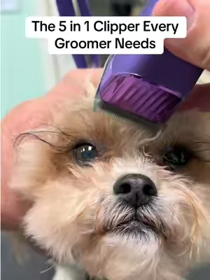 The Pet Hair Trimmer every Pet Groomer needs. @fuzzyfix_official #DealsforYouDays #petgrooming #doggrooming #catgrooming #viralproducts 