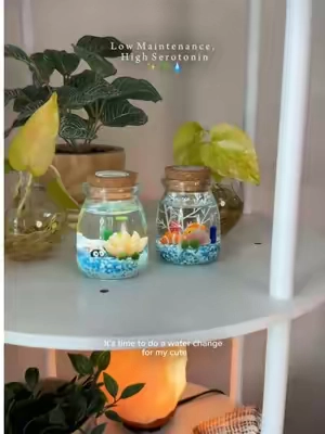 The cutest low maintenance pets ✨🌿💧 Marimo moss balls! @Projoy #marimomossball #mossball #mossballpets #deskpet #PetsOfTikTok 